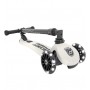 Scoot and Ride Highwaykick 3 LED (Ash)